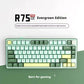 Wireless Mechanical Keyboard